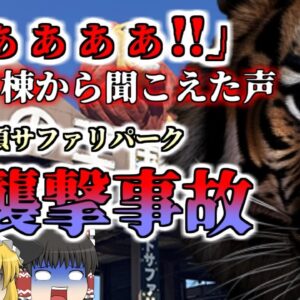 【2022年】「わあぁぁぁ!!」虎の檻に繋がる通路から聞こえた悲鳴…飼育員の女性が腕を噛みちぎられる『那須サファリパークトラ襲撃事故』【ゆっくり解説】
