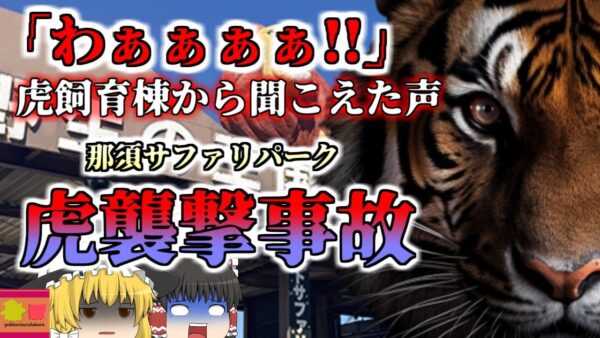 【2022年】「わあぁぁぁ!!」虎の檻に繋がる通路から聞こえた悲鳴…飼育員の女性が腕を噛みちぎられる『那須サファリパークトラ襲撃事故』【ゆっくり解説】