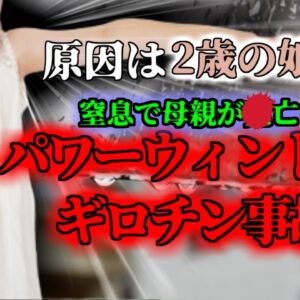 【2023年】車の窓に挟まれ窒息 意識不明になった女性 原因は2歳の娘!?「パワーウインドウ挟まれ事故」【ゆっくり解説】