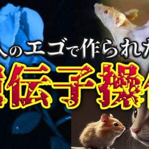 【魔改造】遺伝子操作によって生み出されたヤバい生き物4選