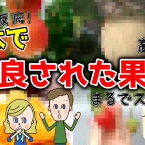 世界が驚く！日本で改良されたフルーツ8選 ！甘すぎてもはや別物？【ゆっくり解説】