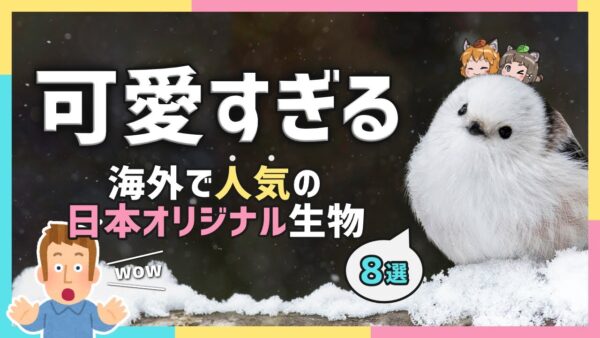 【海外の反応】実は世界で大人気！？日本オリジナルの生き物8選