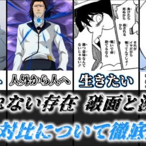 【ゆっくり解説】人から化け物へ、化け物から人へ 滅却師と破面の類似、対比する点を徹底解説【BLEACH】