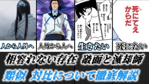【ゆっくり解説】人から化け物へ、化け物から人へ 滅却師と破面の類似、対比する点を徹底解説【BLEACH】