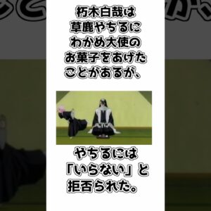 【ゆっくり解説】意外と知られていない？ 朽木白哉の面白い雑学【BLEACH】
