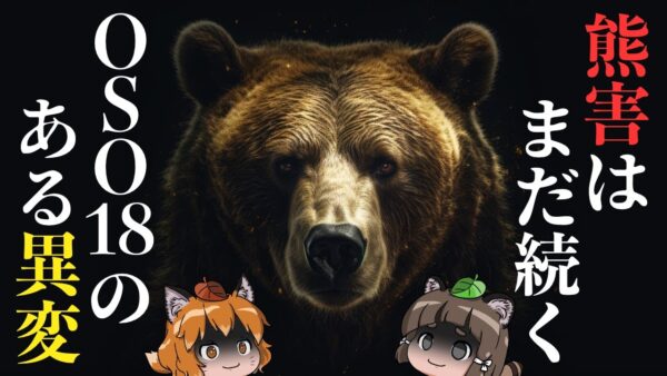 【OSO18】牛66頭襲ったヒグマに起きてた