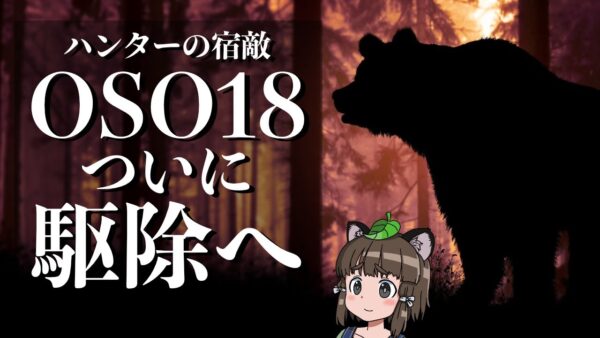【OSO18】牛66頭を襲ったヒグマついに駆除か…まさかの結末に騒然