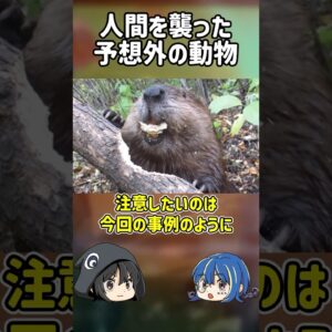 【１分解説】人間を襲った意外な生物とは？【ゆっくり解説】#shorts