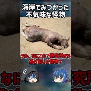 【１分解説】海岸に打ち上げられた不気味な怪物とは？【ゆっくり解説】#shorts