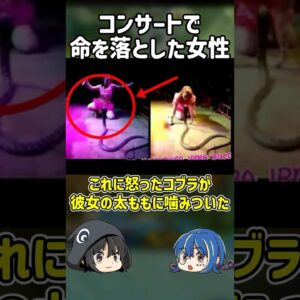 【１分解説】ライブパフォーマンス中の女性襲ったものは？【ゆっくり解説】#shorts