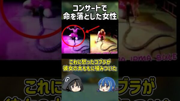 【１分解説】ライブパフォーマンス中の女性襲ったものは？【ゆっくり解説】#shorts