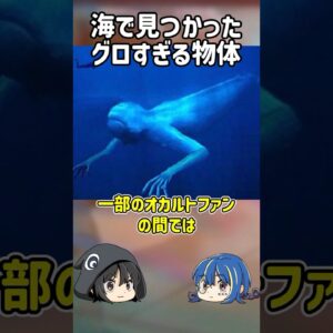 【１分解説】閲覧注意！海岸で見つかったグロすぎるものとは？【ゆっくり解説】#shorts