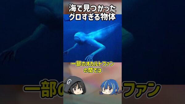 【１分解説】閲覧注意！海岸で見つかったグロすぎるものとは？【ゆっくり解説】#shorts