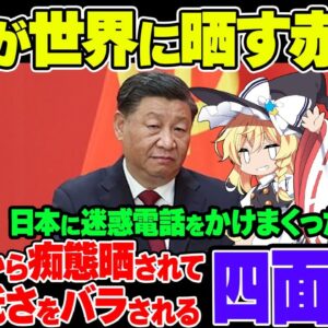 【恥さらし】処理水海洋放出巡り中国から迷惑電話殺到 欧米も詳報、中東メディアはデータで安全性伝える【ゆっくり解説】