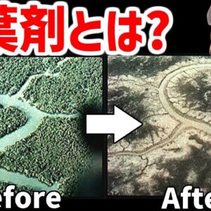 【兵器解説】枯葉剤とは？ベトナム戦争で使用された恐るべき有毒性を持つ除草剤