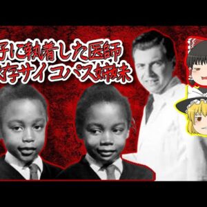【恐怖の実験】双子に纏わるミステリー･ゾッとする話【ゆっくり解説】