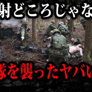顔がぐちゃぐちゃの自衛官？自衛隊が遭遇した恐ろしすぎる事件６選