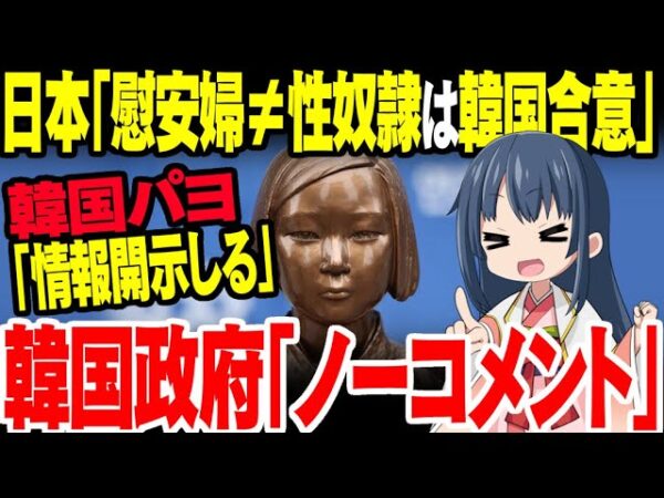 【海外の反応】日本『慰安婦は性奴隷じゃないって韓国も認めた』→韓国国内で超内ゲバに【ゆっくり解説】