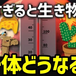 【酷暑】暑すぎて地球の生き物たちに