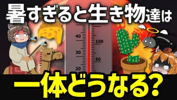 【酷暑】暑すぎて地球の生き物たちに