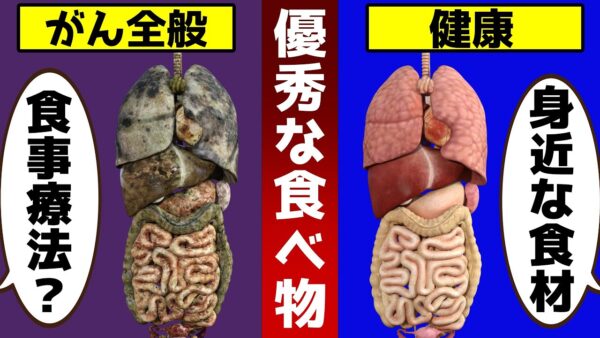 【ゆっくり解説】がんのリスクを軽減！最強の食べ物！癌に効く身近な食材