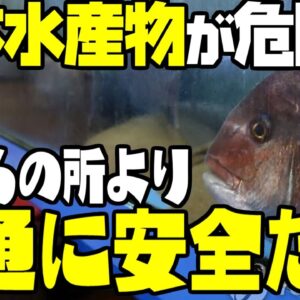 中国と韓国が処理水放出に発狂！輸出規制などをかけた模様だが、だからどうした？【ゆっくり解説】
