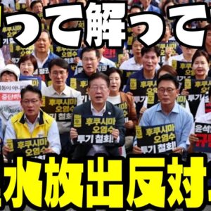 【アホ】韓国の放射線権威、「原発事故の時に濾過なく放出、安全性すでに検証」【だが放流には反発】【ゆっくり解説】
