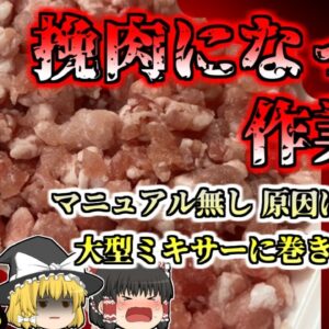 【1994年】肉用大型ミキサーから飛び出した