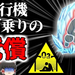 【2019年】旅客機から発見された