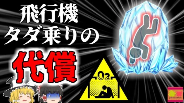 【2019年】旅客機から発見された