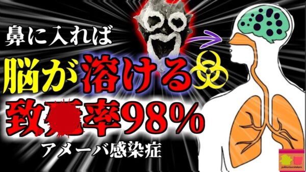 【2020年】子供「頭が痛い…」→1週間後に脳が溶けて崩壊し亡くなる『人喰いアメーバ感染症』夏キャンプの悲劇【ゆっくり解説】