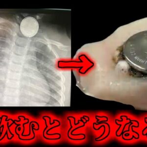 【2021年】飲み込めば10分で肉を溶かす身近で小さな