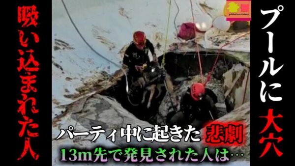 【2022年】突然開いたプールの