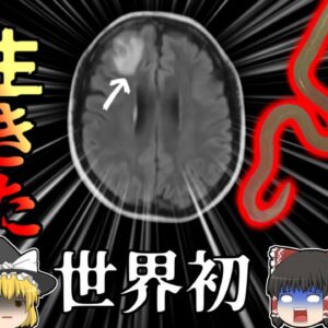 【2022年】脳から8cmの