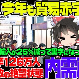 韓国経済爆死か？輸入が2割以上減少して赤字がほぼ確定！若者の3割が就職できない状態で内需経済がズタボロ【ゆっくり解説】