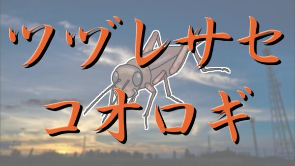 【ゆっくり解説】#40 現代人には理解できない名前【カメさんクイズ】