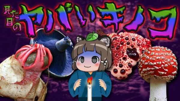 【混沌】まるでバケモノ！？見た目がヤバすぎるキノコ7選