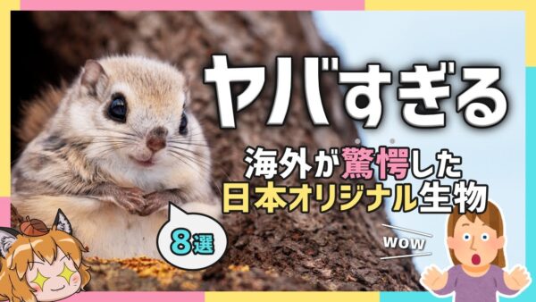 【海外の反応】世界80億人が驚愕した！？日本オリジナルの生き物8選