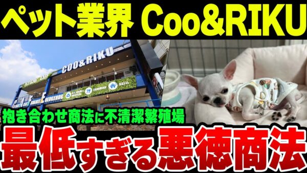 【Coo&RIKU】ビッグモーターより悪質、ペットショップクーアンドリクが見せたペット業界の闇【ゆっくり解説】