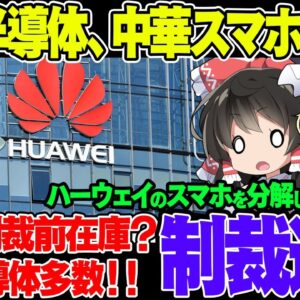 韓国SKハイニックス、米国制裁中の中国メーカー、ハーウェイのスマホから部品が見つかる【ゆっくり買う説】