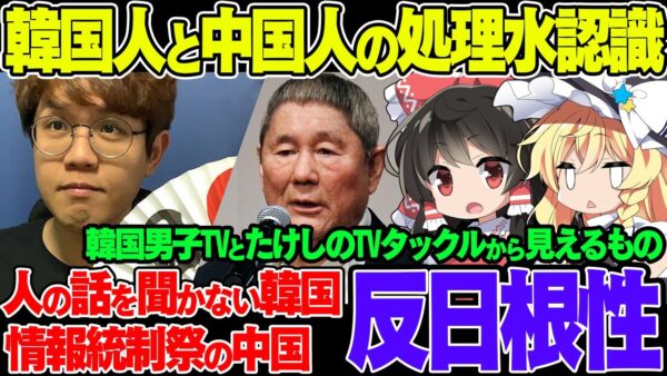 【ゆっくり解説】韓国人Youtuber『韓国男子TV』の一般韓国人へのインタビューと中国人芸能人高陽子のたけしのビートたけしのTVタックル出演から見えるもの
