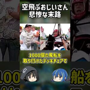 【１分解説】空飛ぶ風船おじいさんの悲惨な末路【ゆっくり解説】#shorts
