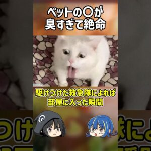 【１分解説】ペットの○が臭すぎて絶命した男とは？【ゆっくり解説】#shorts