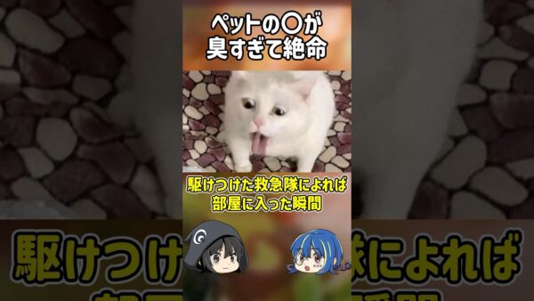 【１分解説】ペットの○が臭すぎて絶命した男とは？【ゆっくり解説】#shorts