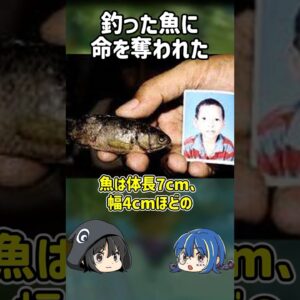 【１分解説】魚を捕まえた少年を襲った悲劇とは？【ゆっくり解説】#shorts