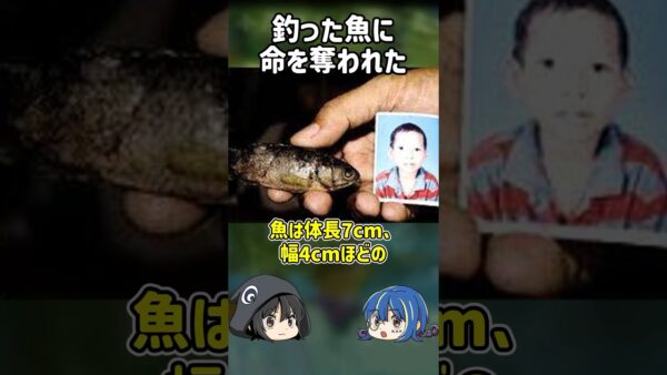 【１分解説】魚を捕まえた少年を襲った悲劇とは？【ゆっくり解説】#shorts