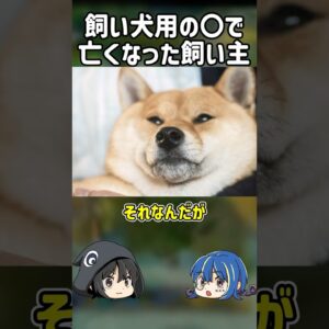 【１分解説】犬のために設置した○○の犠牲になった飼い主とは？【ゆっくり解説】#shorts