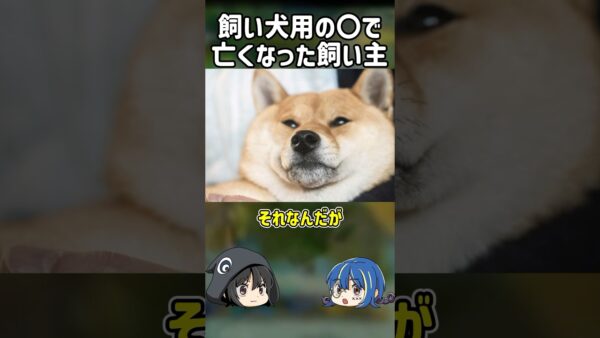 【１分解説】犬のために設置した○○の犠牲になった飼い主とは？【ゆっくり解説】#shorts