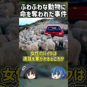 【１分解説】予想外の動物に命を奪われた事件【ゆっくり解説】#shorts