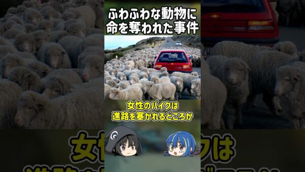 【１分解説】予想外の動物に命を奪われた事件【ゆっくり解説】#shorts